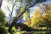 Fall, Pond, Capstow bridge, Central Park, Manhattan, New York, USA