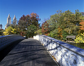 Bow bridge, The Lake, Central Park, Manhattan, New York, USA