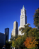 Woolworth building, Downtown, Manhattan, New York, USA