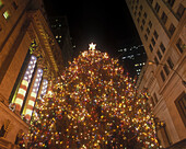 Christmas tree, Broad Street, Financial district, Manhattan, New York, USA