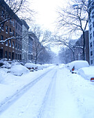 Blizzard, 22nd Street, Chelsea, Manhattan, New York, USA