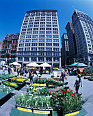 Greenmarket, Union square, Manhattan, New York, USA