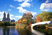 Bow bridge, The Lake, Central Park, Manhattan, New York, USA