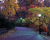 Path, Central Park, Manhattan, New York, USA