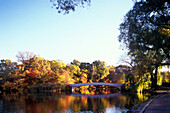 Bow bridge, The Lake, Central Park west, Manhattan, New York, USA