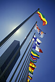 Flags, United nations building, Manhattan, New York, USA.