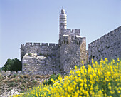 David s tower, Citadel, Old city, Jerusalem, Israel.