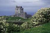 Dunguaire castle ruins, County galway, Ireland.