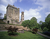 Blarney castle ruins, Blarney, County cork, Ireland.