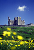 Saint patrick s rock, Cashel, County tipperary, Ireland.