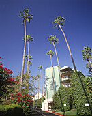 Beverly hills hilton hotel, Beverly hills, Los angeles, California, USA.