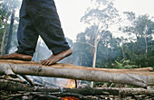 Colombian farmers burning the jungle. Leticia, Amazon. Colombia