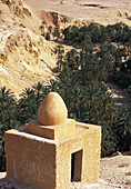 Oasis of Chebika. Chott el-Djerid region, Sahara desert, Tunisia