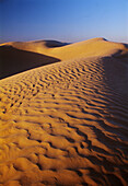 Sand dunes. Sahara Desert, Douz, Tunisia