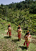 Ramaya Dance. Balinese dancers from Ubud. Bali. Indonesia