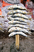 Espetones de sardinas. Pedregalejo beach. Málaga. Andalucía. Spain.