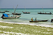 Nungwi Beach, Zanzibar Island, Tanzania