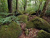 Rincón de la Vieja National Park. Costa Rica
