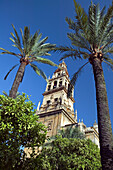 Minaret tower of the Great Mosque, Córdoba. Andalusia, Spain