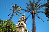 Minaret tower of the Great Mosque, Córdoba. Andalusia, Spain