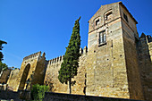 Almodóvar gate. Córdoba. Andalucía. Spain.