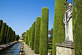 The gardens of the Alcazar of Catholic Kings in Cordoba. Andalusia, Spain