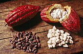Cocoa. Grenada