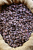 Cocoa beans. Grenada