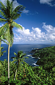 Atlantic coast. Dominica