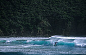Ein Mann surft vor Neds Beach, Lord Howe Island, Australien