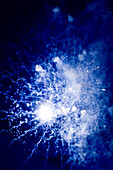 Fireworks at night, celebration, Leipzig, Saxony, Germany