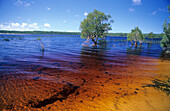 Gerbsäure färbt das Wasser des Lake Boomanjin braun, Fraser Island, Great Barrier Reef, Australien