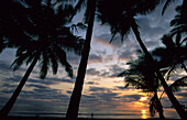 Sonnenaufgang am Four Mile Beach, Port Douglas, Queensland, Australien