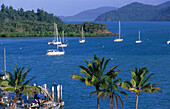 Shute Harbour is the gateway to the Whitsunday Islands, Great Barrier Reef, Australia