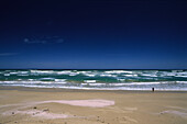 Küste der Younghusband Peninsula, Coorong National Park, Südaustralien, Australien