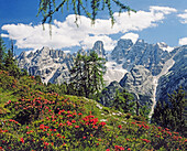 Monte Cristallo Group, near Cortina d Ampezzo. The Dolomites, Italy