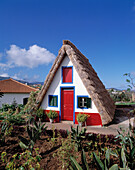 Thatched roof house. Santana. Madeira Island. Portugal