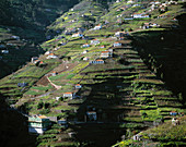 Funchal. Madeira Island. Portugal