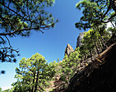 Spain, Canary Islands, La Palma, Caldera de Taburiente National Park, La Cumbrecita, rocks, stone pines