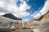 Nackte Menschen liegen auf dem Eis vor einer Gletscherspalte, rund 600 Personen posieren für den Aktionskünstler Spencer Tunick und Greenpeace auf dem Aletschgletscher, sie machen so auf den Klimawandel aufmerksam, Aletschgletscher, Wallis, Schweiz
