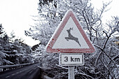 Deer sign on the road. Pyrenees. Spain
