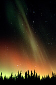 Aurora Borealis or Nothern Lights. Denali National Park. Alaska. USA