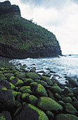 Rocks with moss. Coast of Kauai island. Hawai