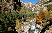 Bujaruelo valley. Ordesa National Park. Pyrenees. Huesca. Spain