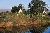 La Albufera. Valencia province. Comunidad Valenciana. Spain