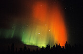 Aurora Borealis or Nothern Lights. Yukon territory. Canada