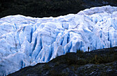 Man standing in front of Exit Glacier. Kenai peninsula. Alaska. USA