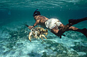 Lobster fishing in Belize. Caribbean Sea. Yucatan. Belize