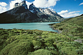 Torres del Paine National Park. Chile