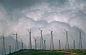Windfarms. Cádiz province. Andalucia. Spain.
